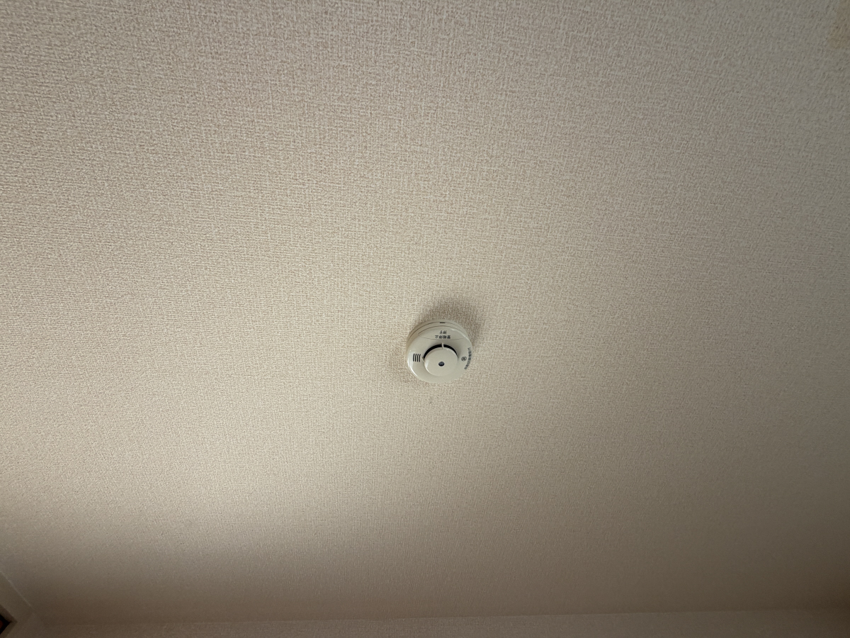 写真29