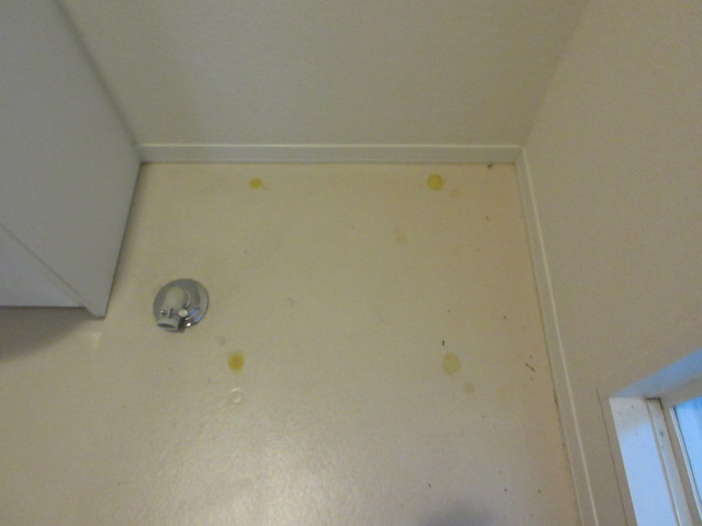 その他部屋・スペース 写真7