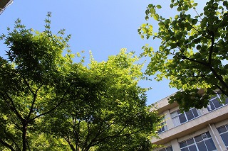 八幡小学校まで957m (徒歩12分) 写真21