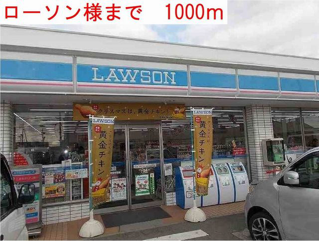 写真14