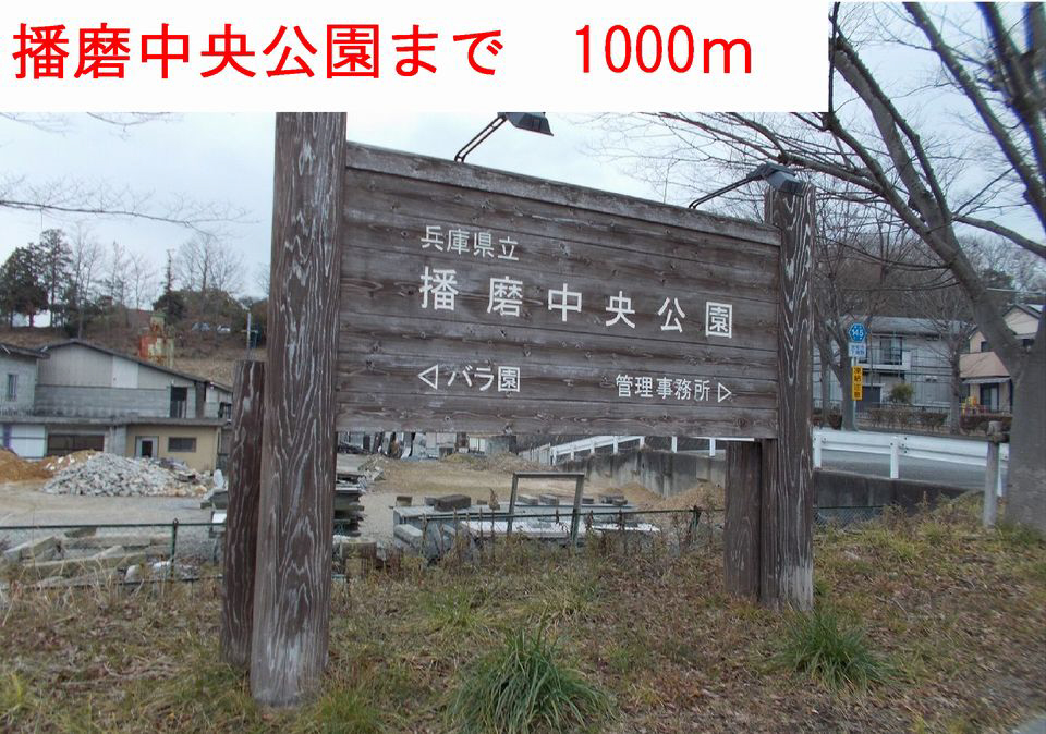 写真14
