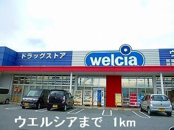 写真31