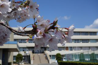 滝野中学校まで1198m (徒歩15分) 写真22