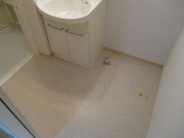 洗面所 写真19