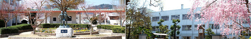 中町南小学校まで679m (徒歩9分) 写真21