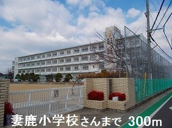 写真34