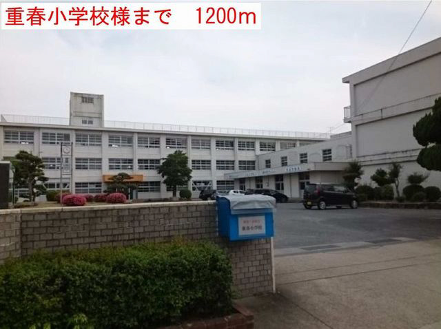 写真17