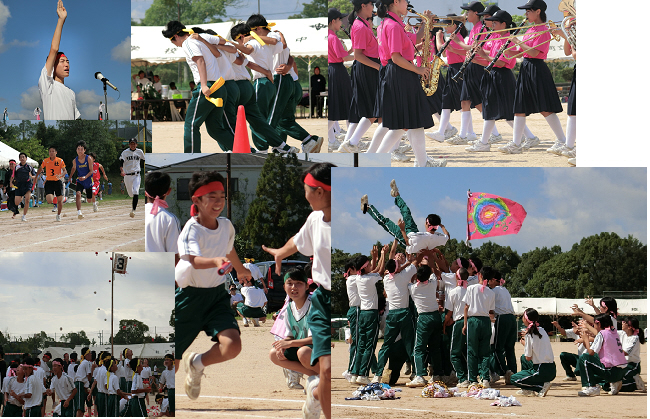社中学校まで1300m (徒歩17分) 写真22