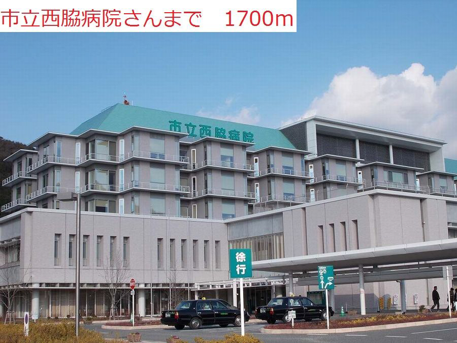 写真31