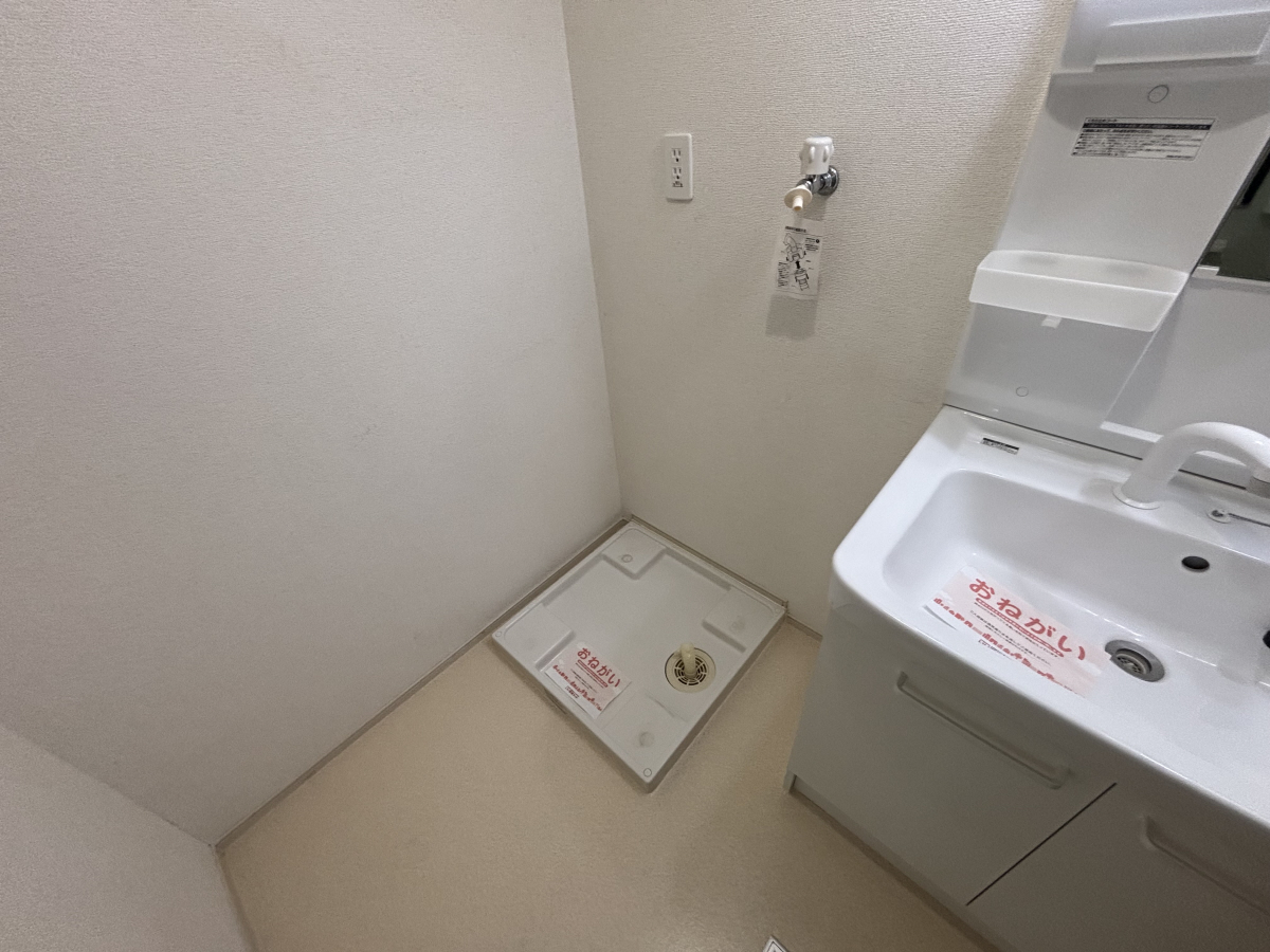 写真7