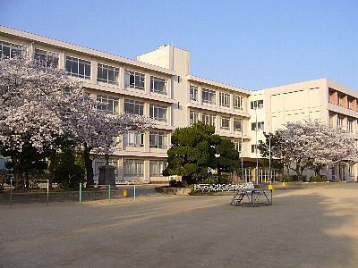 水上小学校まで472m (徒歩6分) 写真21