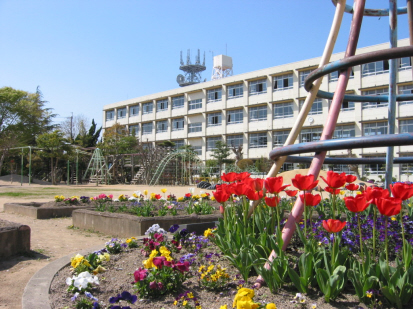 田原小学校まで693m (徒歩9分) 写真21