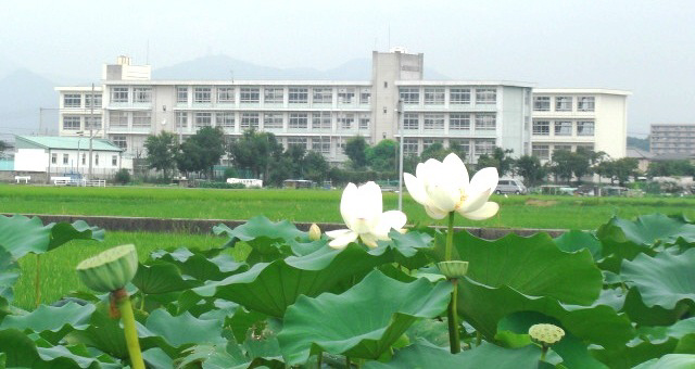 朝日中学校まで1015m (徒歩13分) 写真22