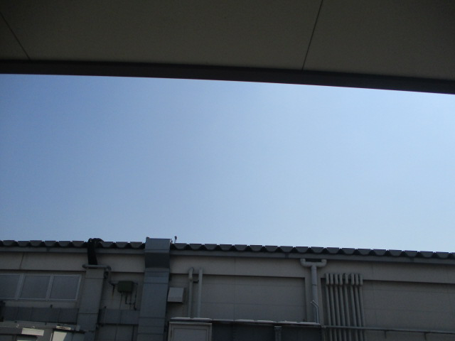 眺望 写真11