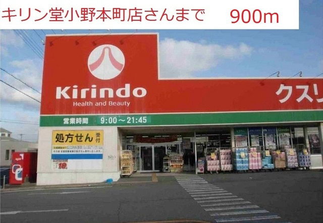 写真19