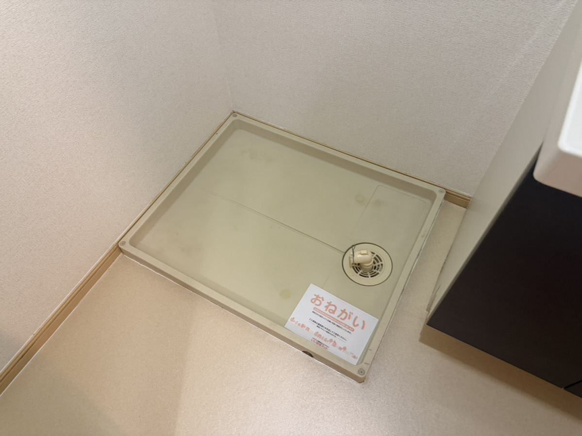 写真7