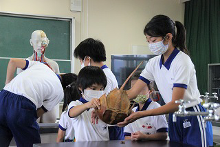 九会小学校まで2251m (徒歩29分) 写真21
