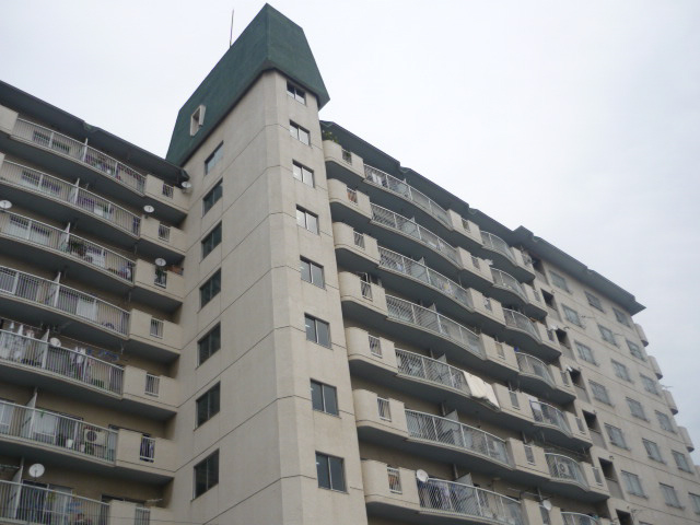 エバーグリーン車崎